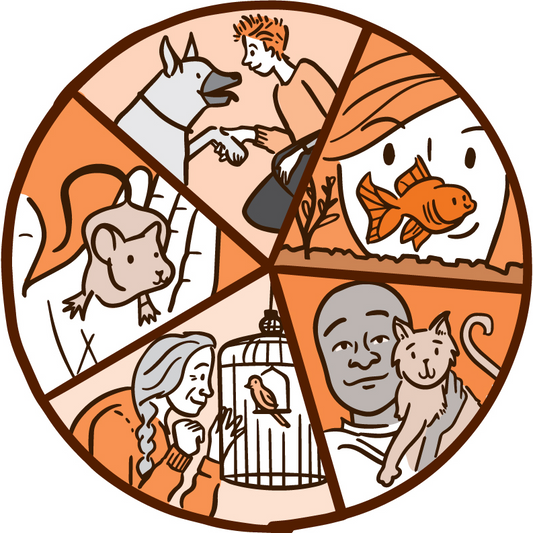 The-Power-of-Pets-Health-Benefits-of-Human-Animal-Interactions Luck