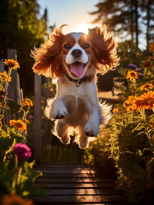 Quiet-Dog-Breeds-Explored-Unraveling-the-Mystery-of-Dogs-That-Bark-the-Least Luck