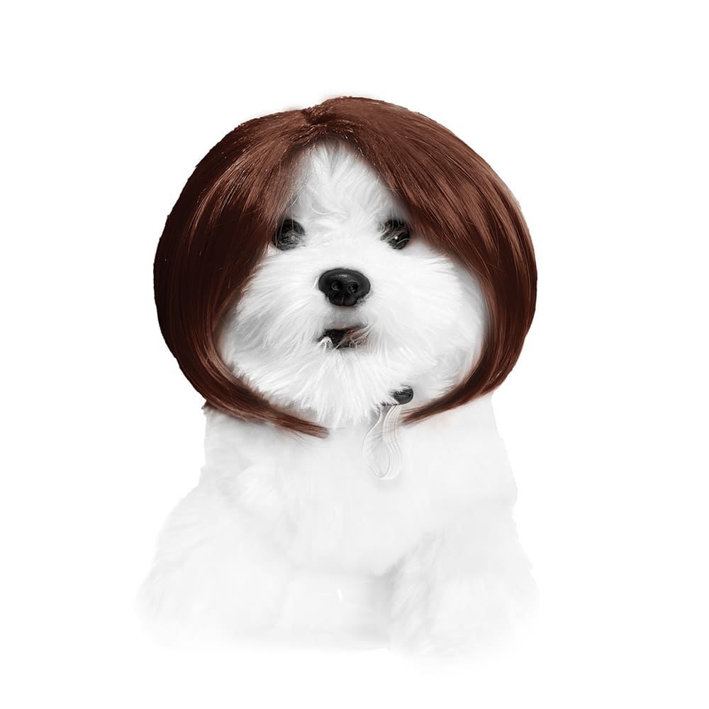 funny cat wearing cosplay wig