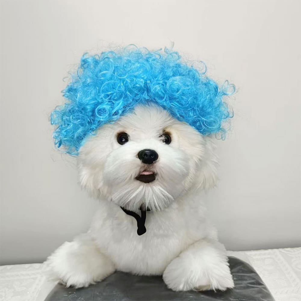 funny cat wearing cosplay wig