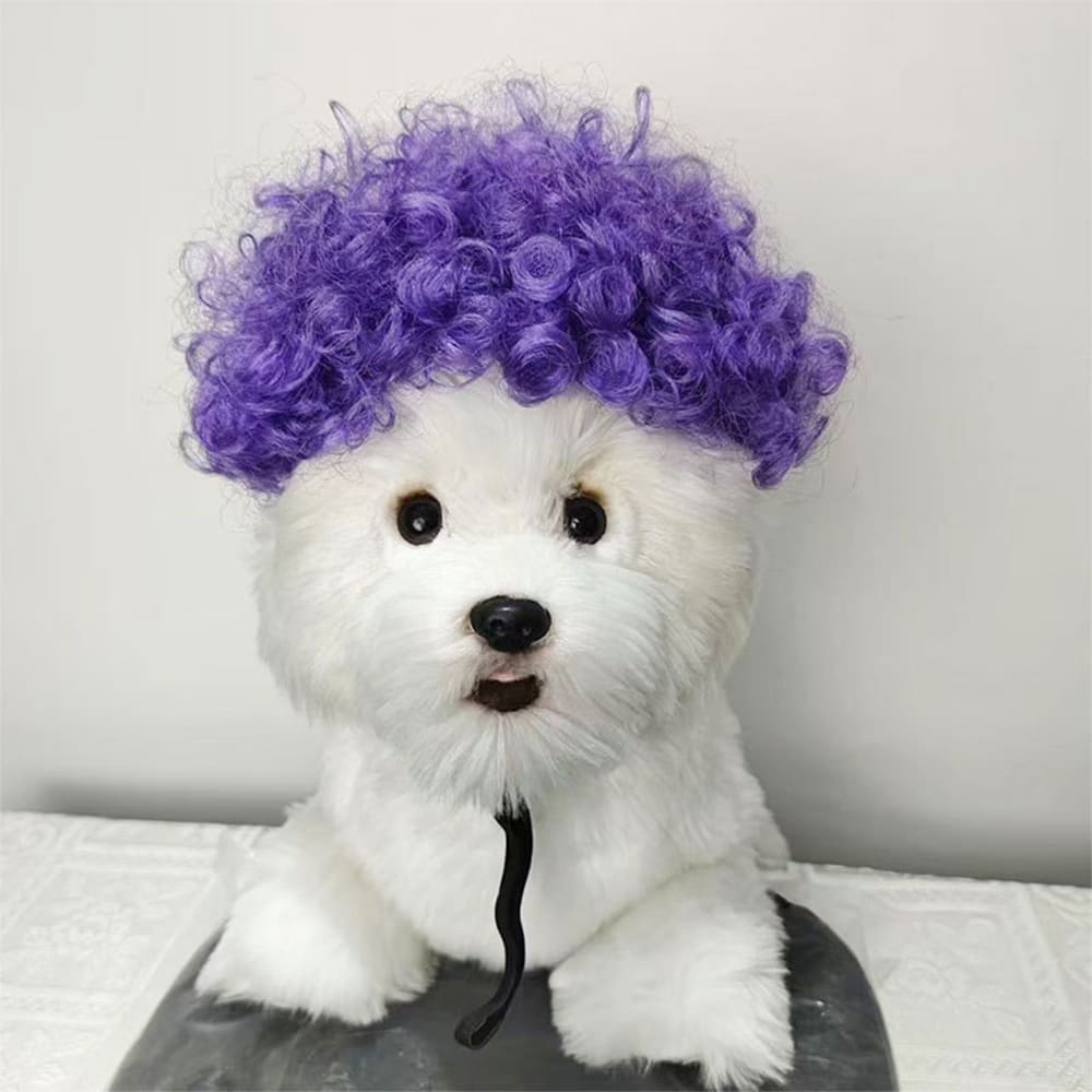 funny cat wearing cosplay wig