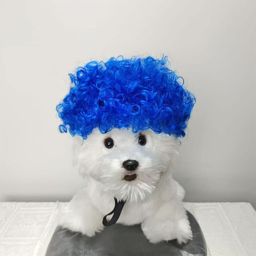 funny cat wearing cosplay wig