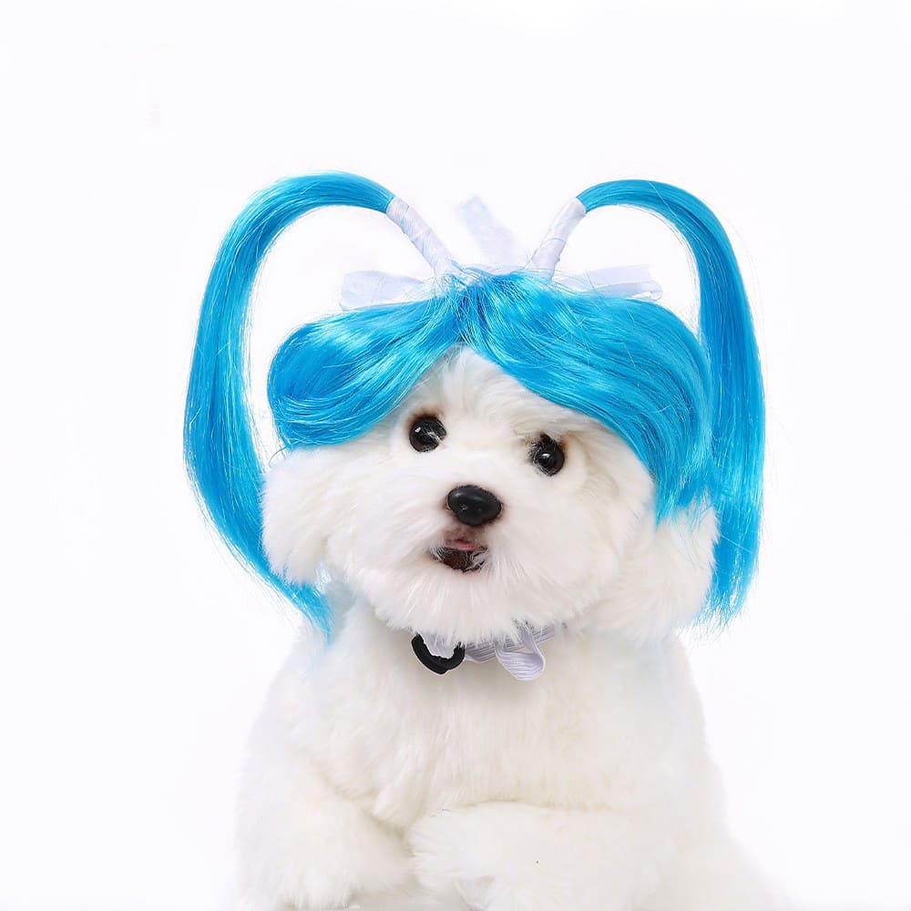 funny cat wearing cosplay wig