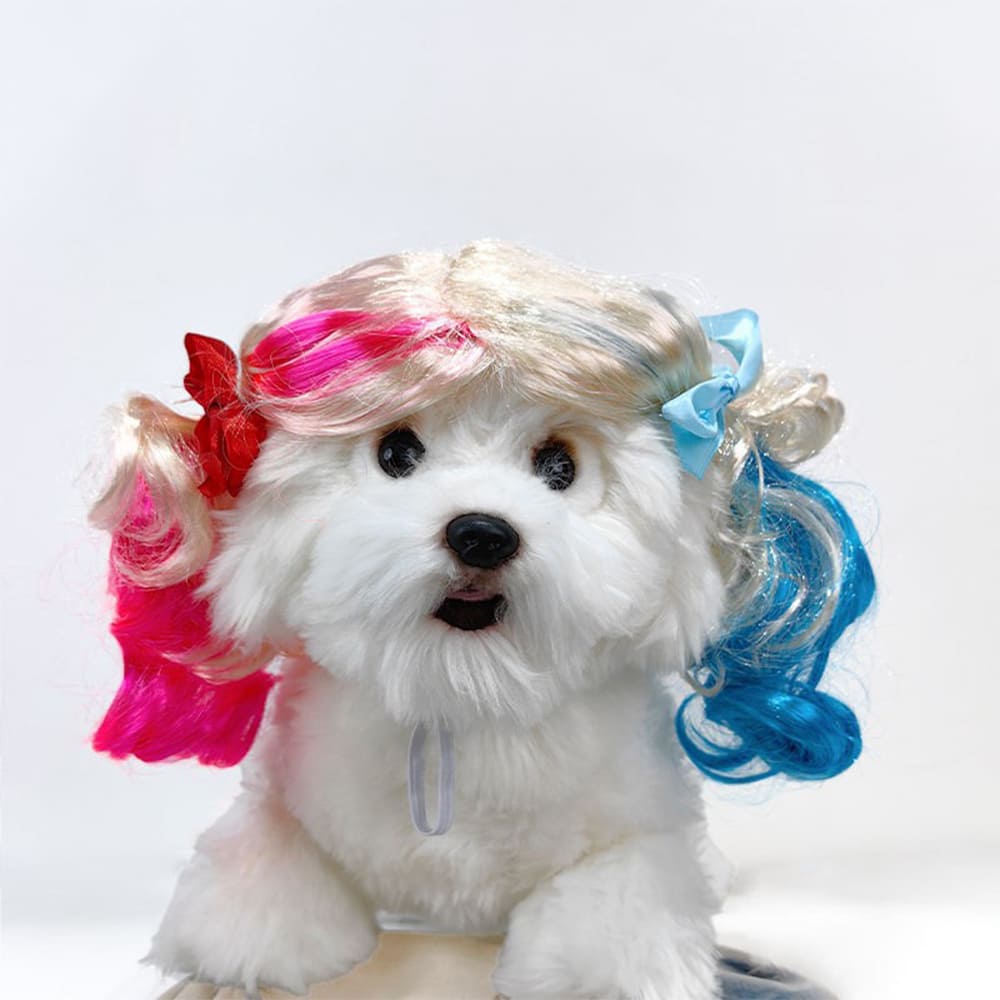 funny cat wearing cosplay wig