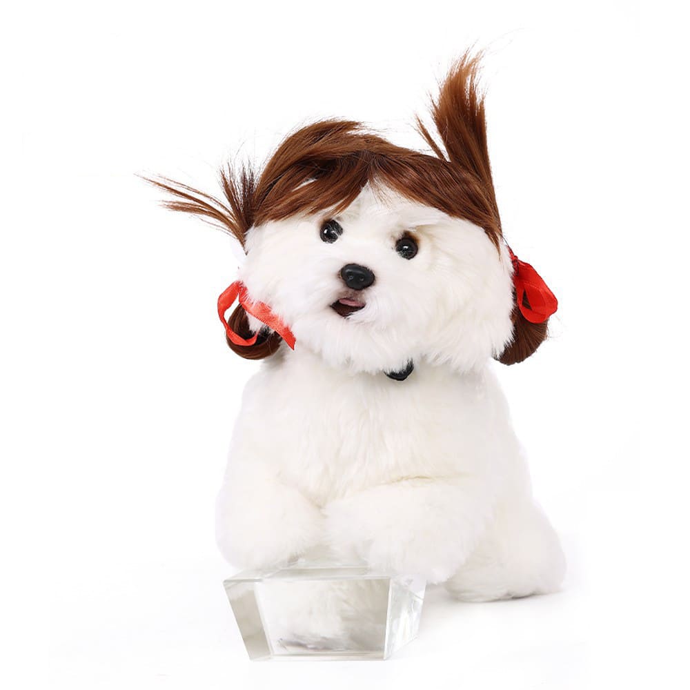 funny cat wearing cosplay wig