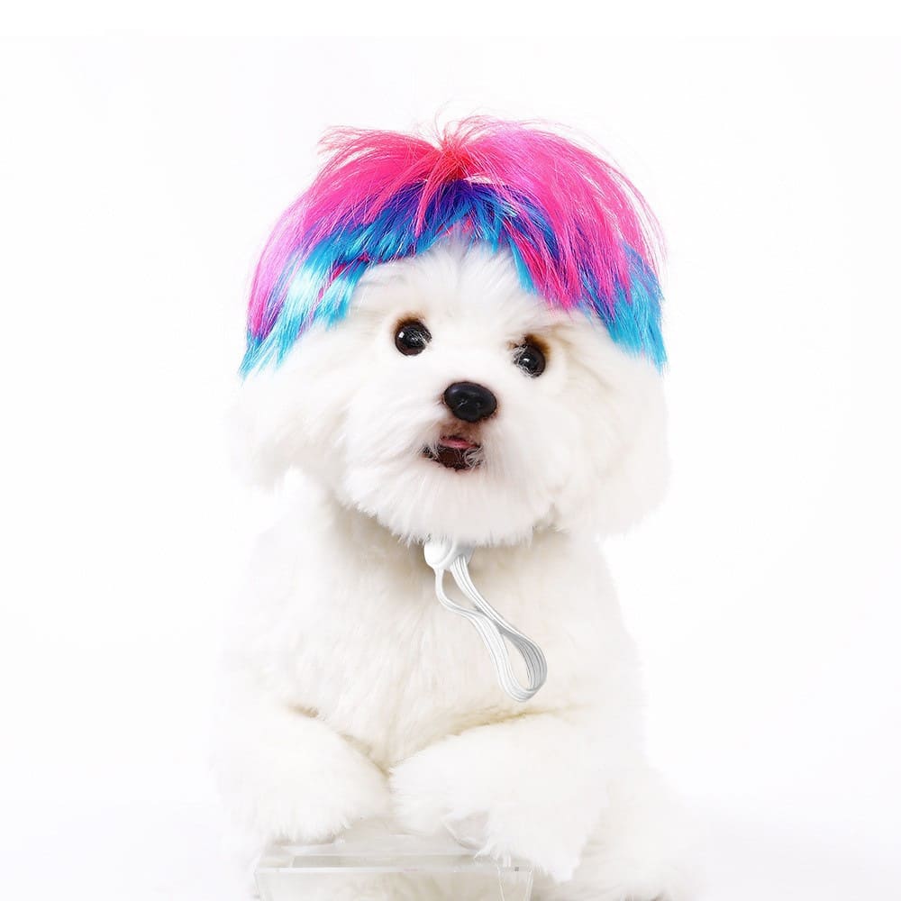 funny cat wearing cosplay wig