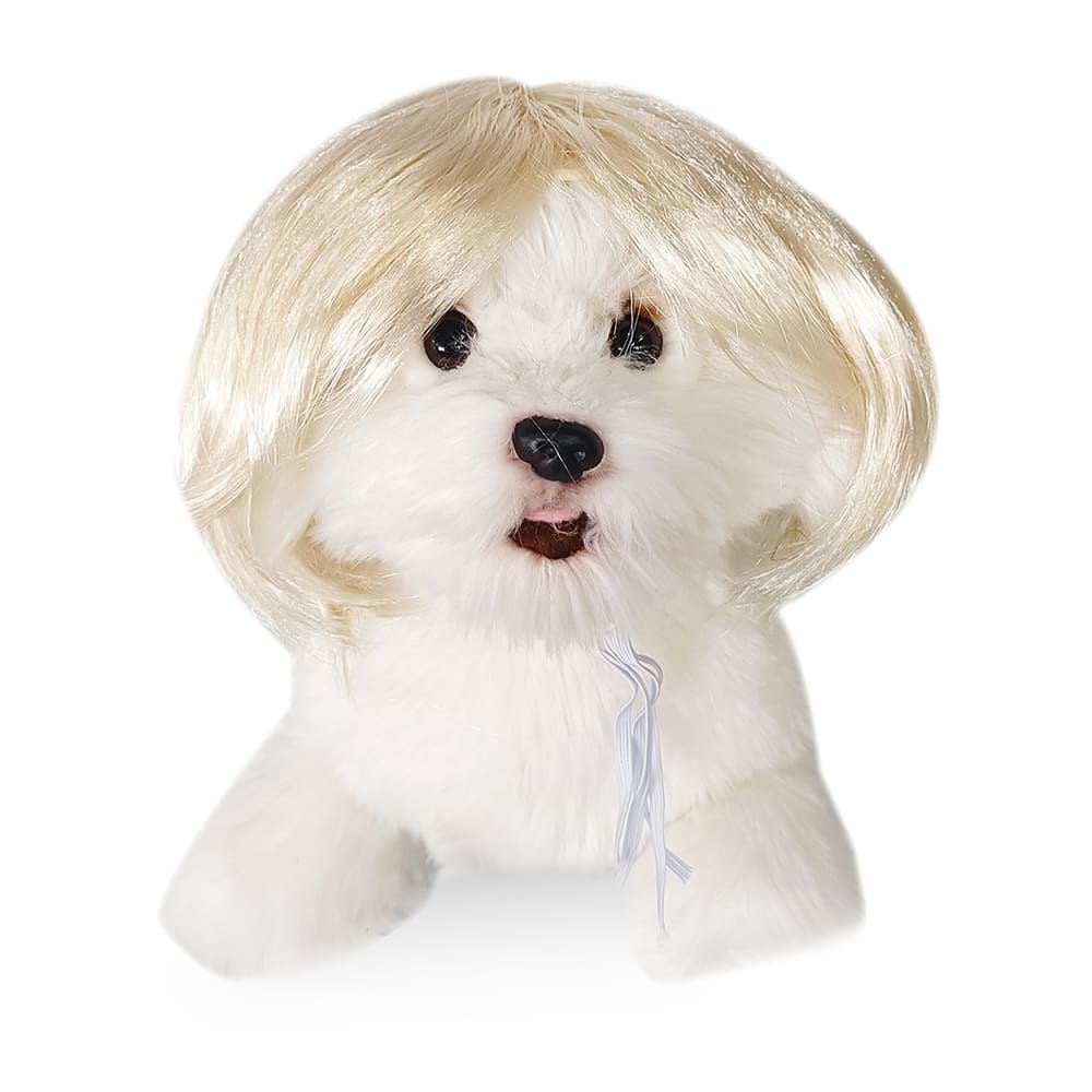 funny cat wearing cosplay wig