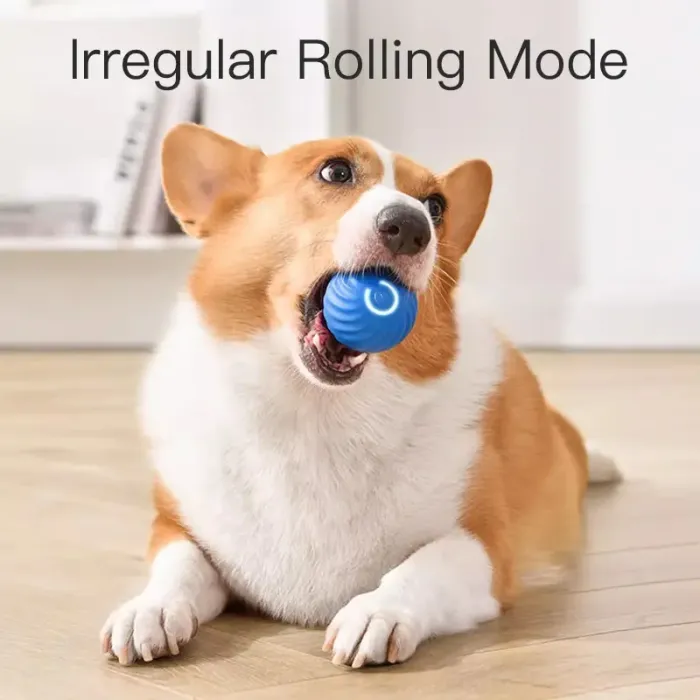 Pet Smart Interactive Toy Ball - Automated Play for Dogs and Cats Lucky Pet