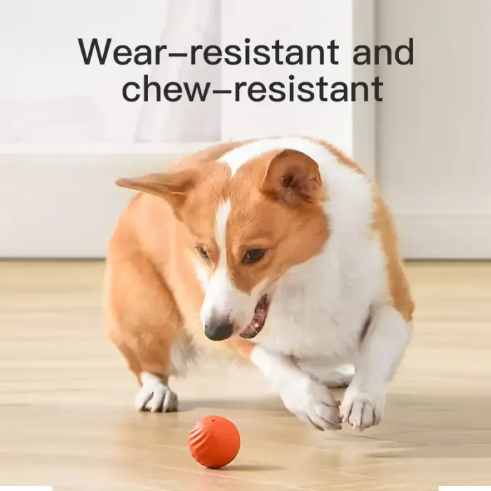 Pet Smart Interactive Toy Ball - Automated Play for Dogs and Cats Lucky Pet