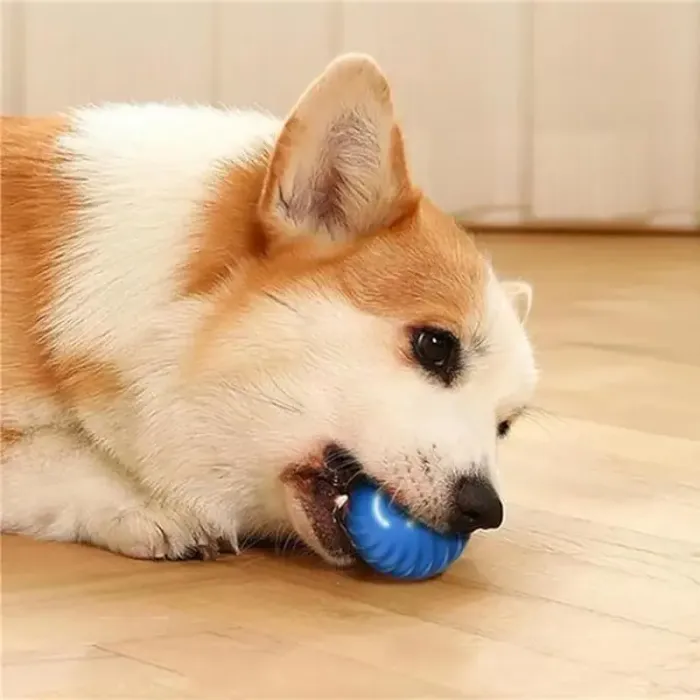 Pet Smart Interactive Toy Ball - Automated Play for Dogs and Cats Lucky Pet