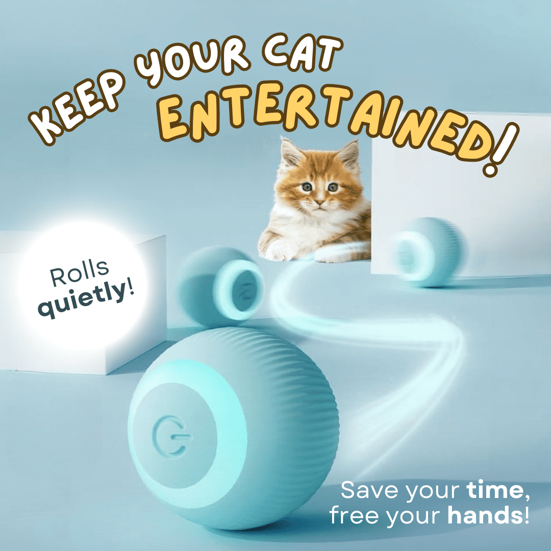 Pet Smart Interactive Toy Ball – Motion Activated for Cats & Dogs Lucky Pet