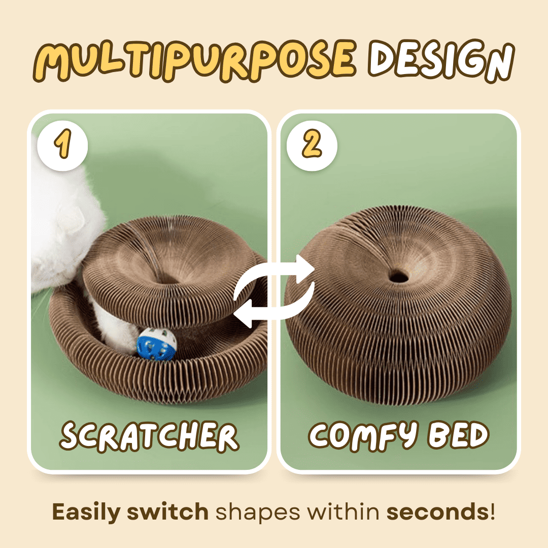 Cat Scratcher – Transformable & Space-Saving Lucky Pet