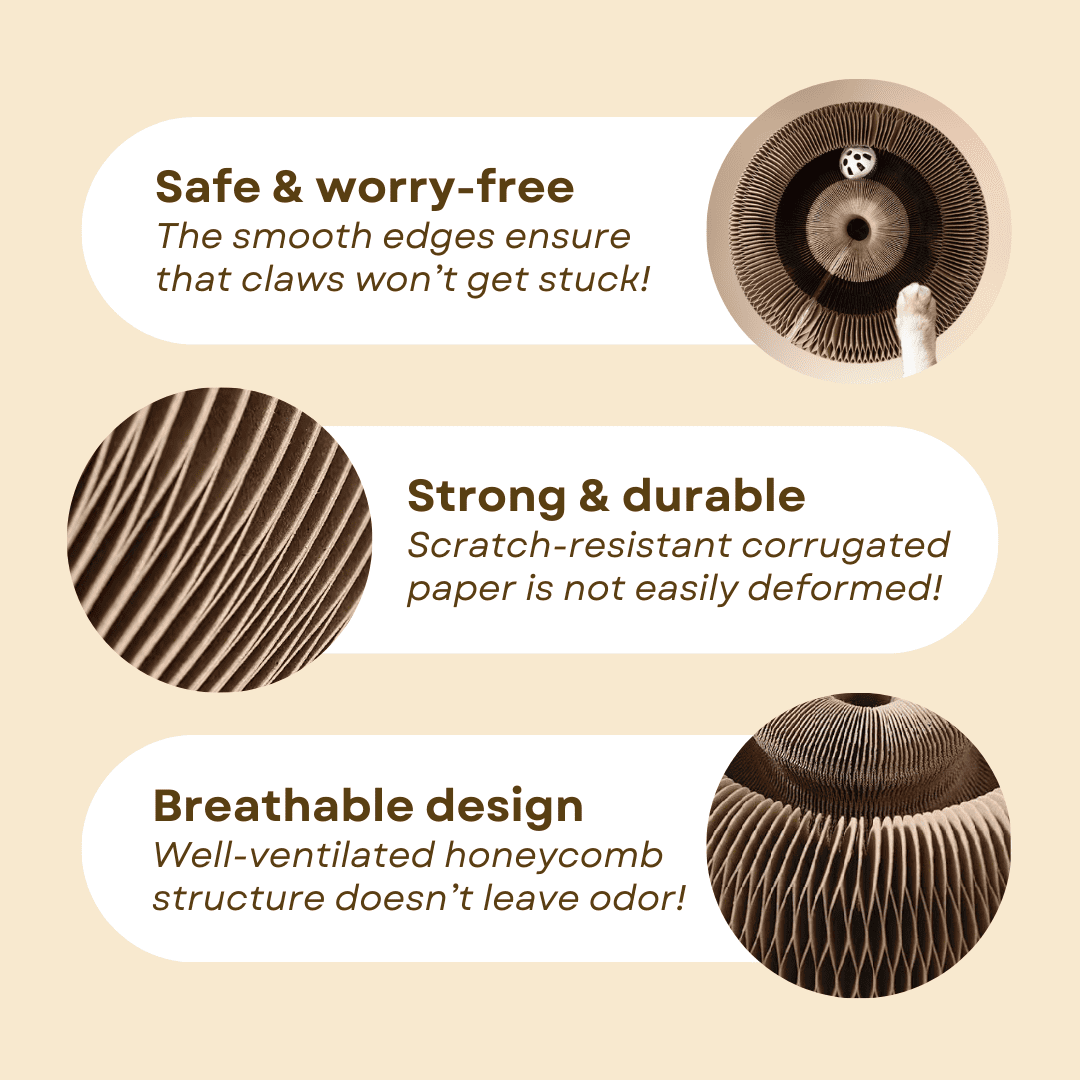 Cat Scratcher – Transformable & Space-Saving Lucky Pet