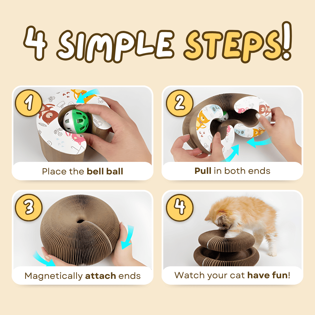 Cat Scratcher – Transformable & Space-Saving Lucky Pet