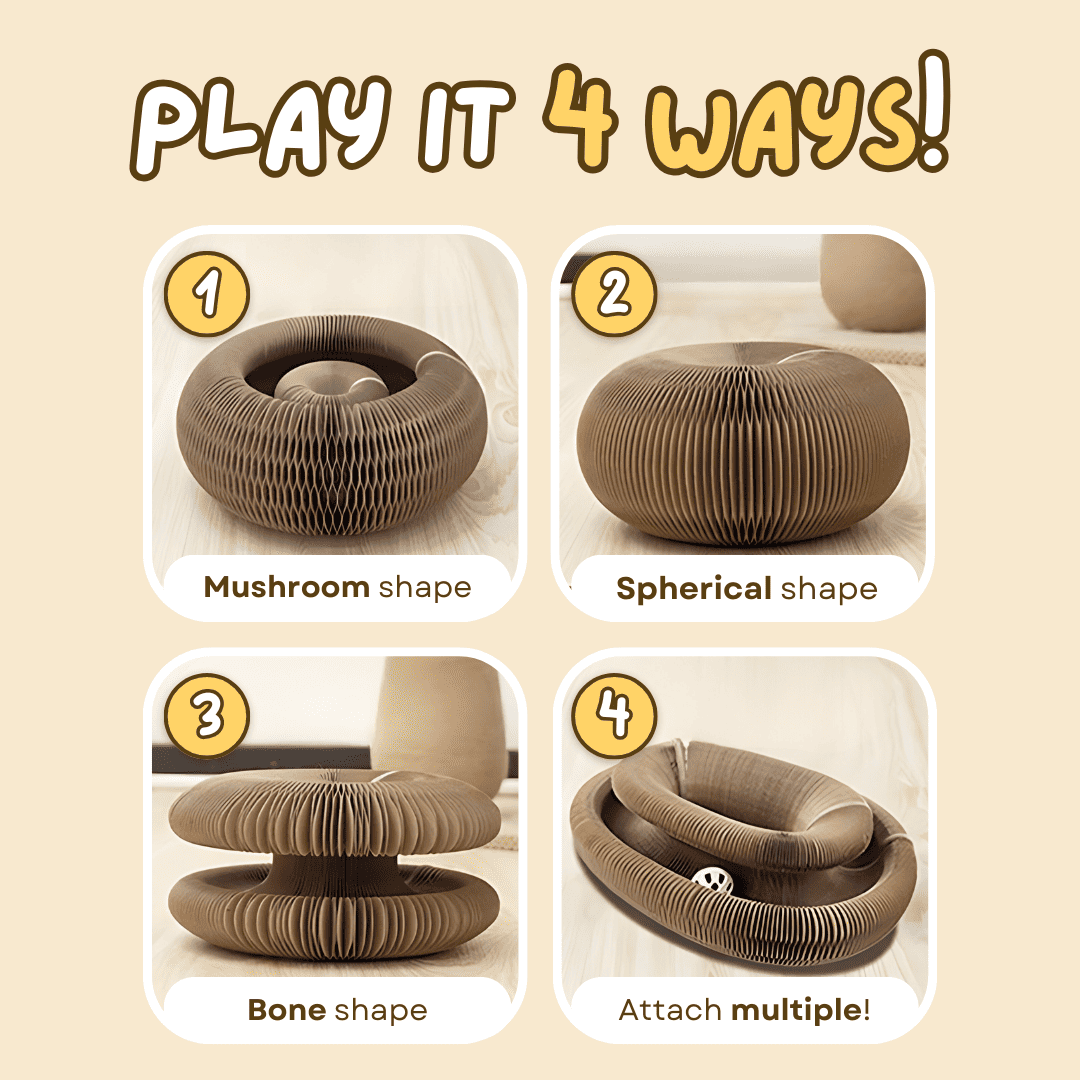 Cat Scratcher – Transformable & Space-Saving Lucky Pet