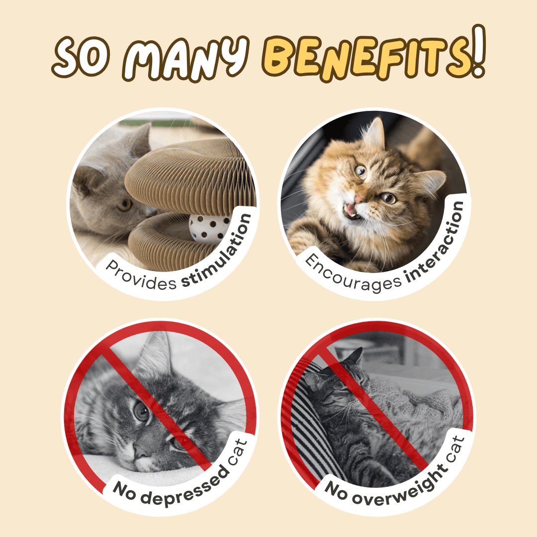 Cat Scratcher – Transformable & Space-Saving Lucky Pet