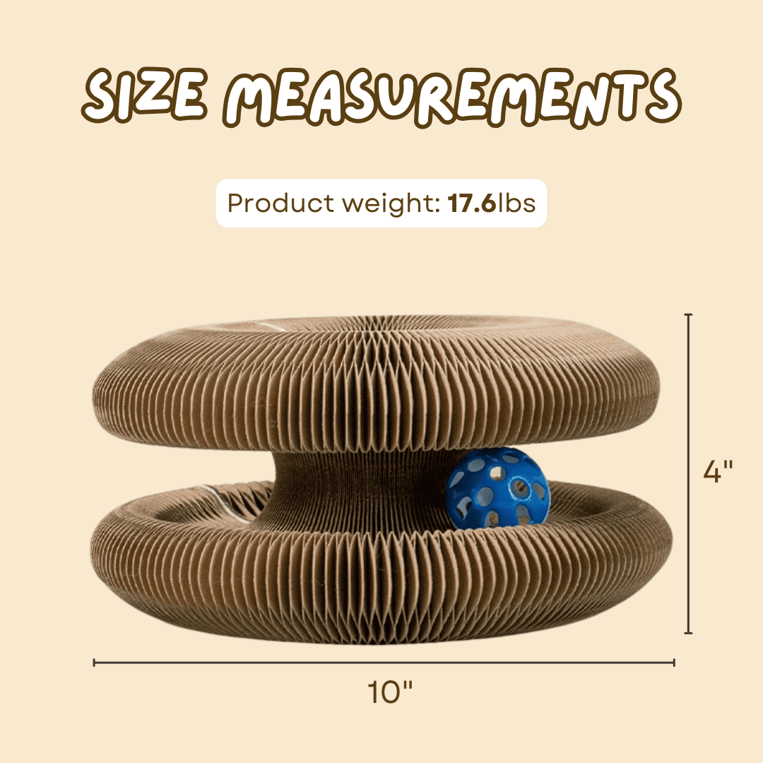 Cat Scratcher – Transformable & Space-Saving Lucky Pet