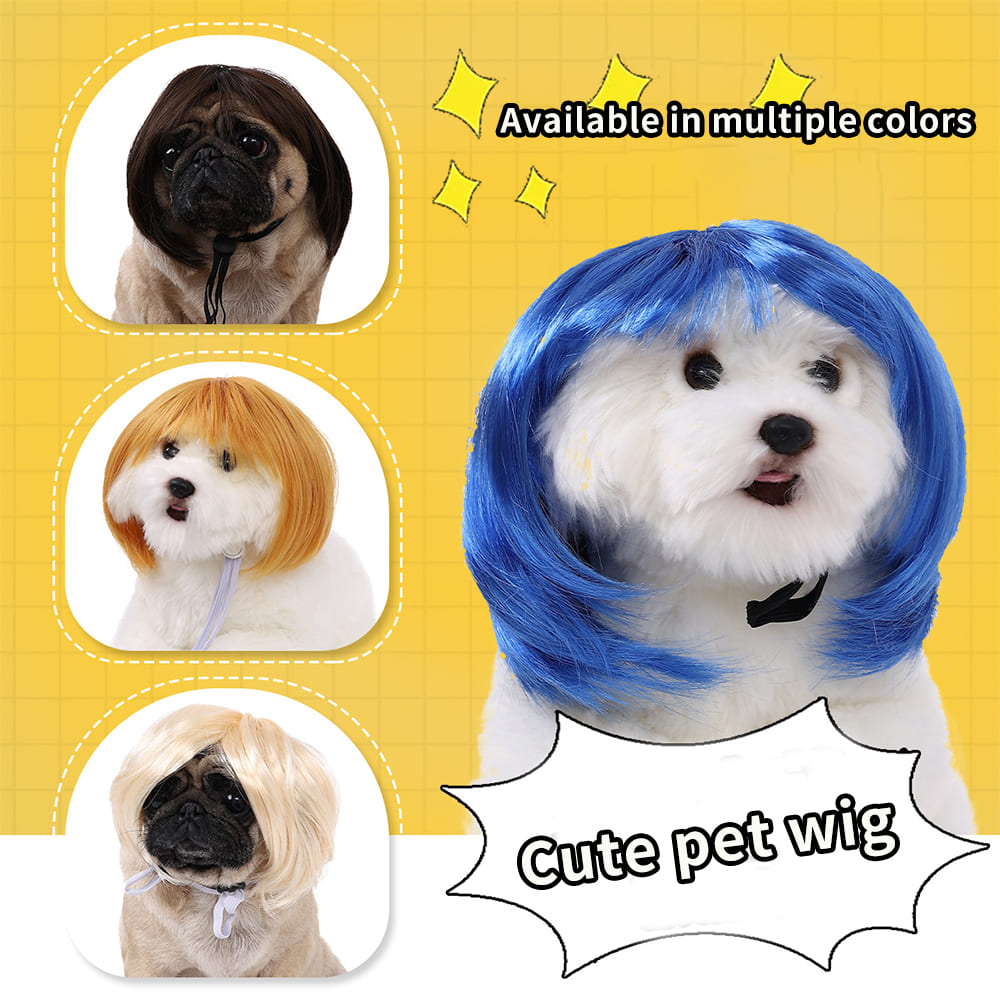 funny cat wearing cosplay wig