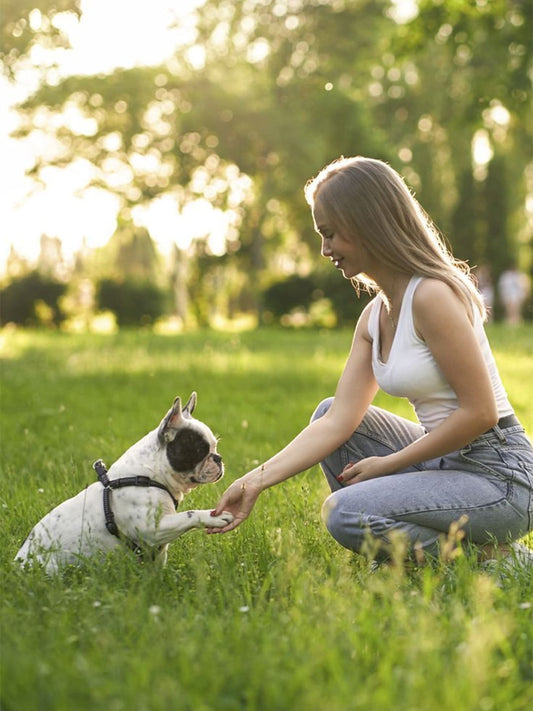 Signs of Food Allergies in Pets: Symptoms, Causes, and Treatment