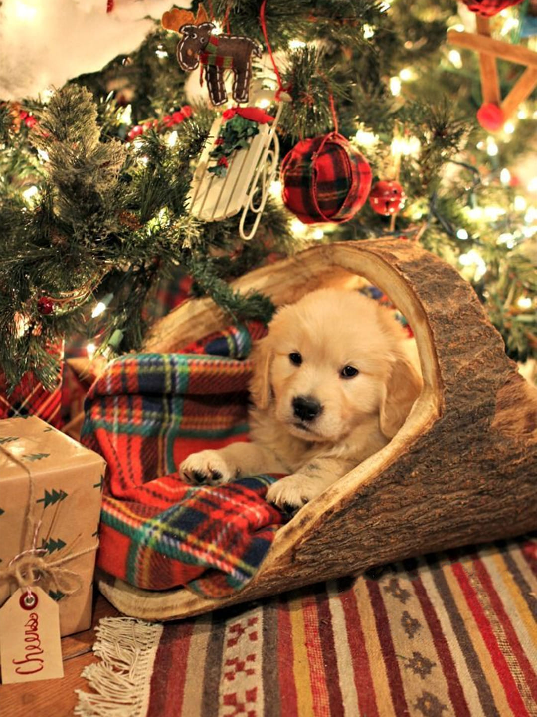 An adorable Golden Retriever puppy nestled in a wooden bed with a plaid blanket, under a lit Christmas tree with gifts. Captures Christmas pets, cute puppies, and holiday warmth. Ideal for pet gifts or festive themes.