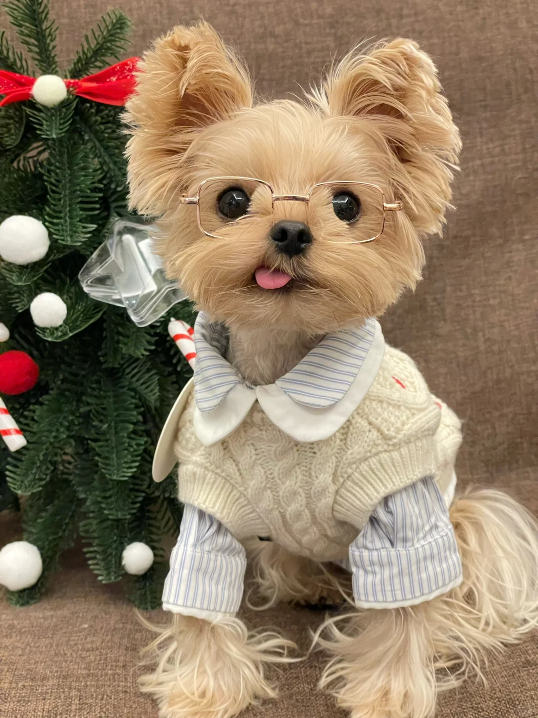 Notice-Keep-pets-away-from-these-deadly-summer-poisons Luck