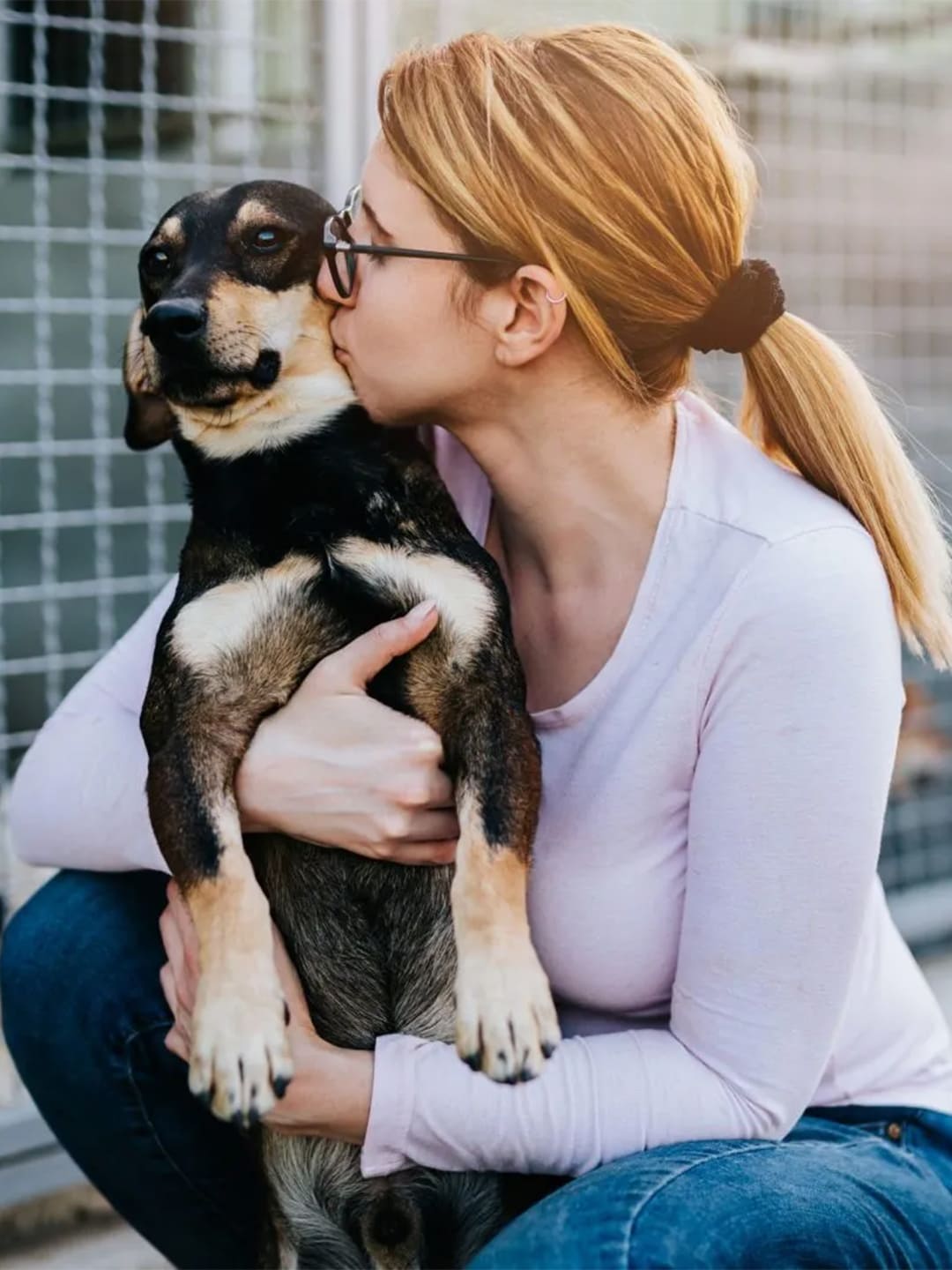 Rescue Dog Finds Home Just in Time for Christmas