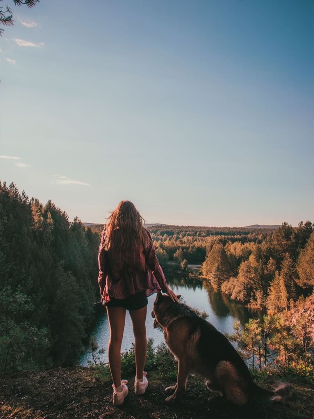 3.4-fewer-animals-were-killed-in-shelters-so-far-in-2024 Luck