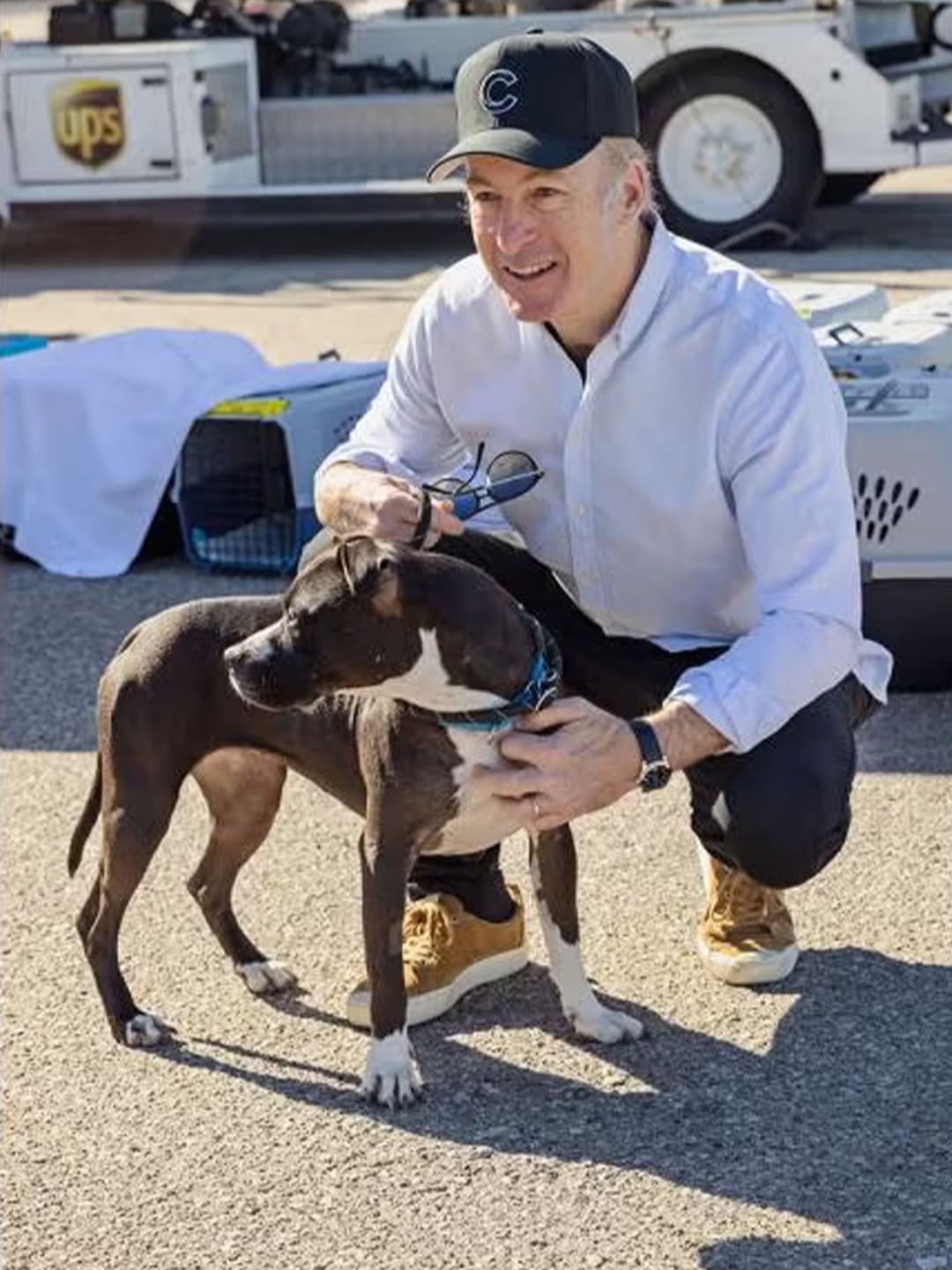 Celebrities-support-pets-affected-by-L.A.-wildfires Luck