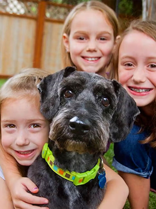 Heartwarming-Pet-Stories-Unbreakable-Bonds-and-Lasting-Friendships Luck