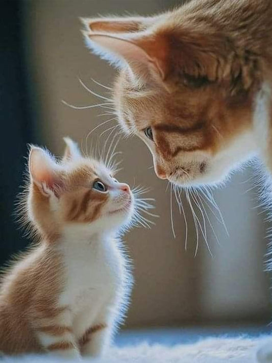 A big cat looks at a kitten