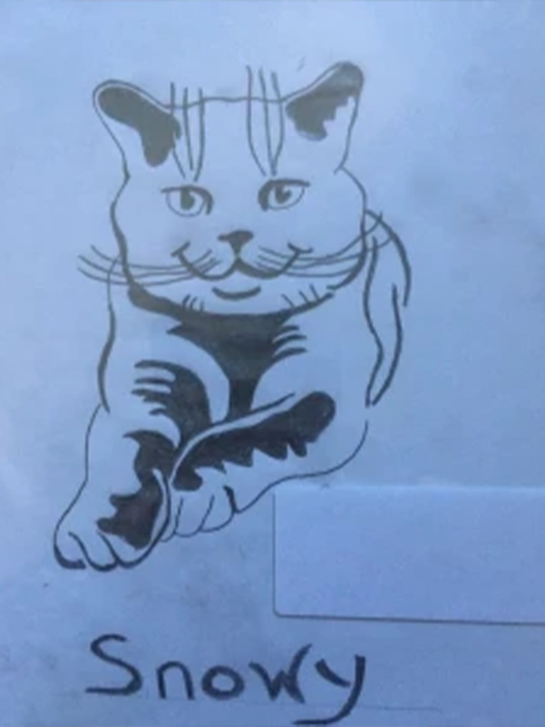 Celebrating-the-Unique-Bonds-Between-Humans-and-Pets Luck