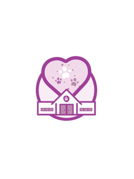 LuckyPet-s-100K-Donation-Giving-Stray-Pets-a-Second-Chance Luck