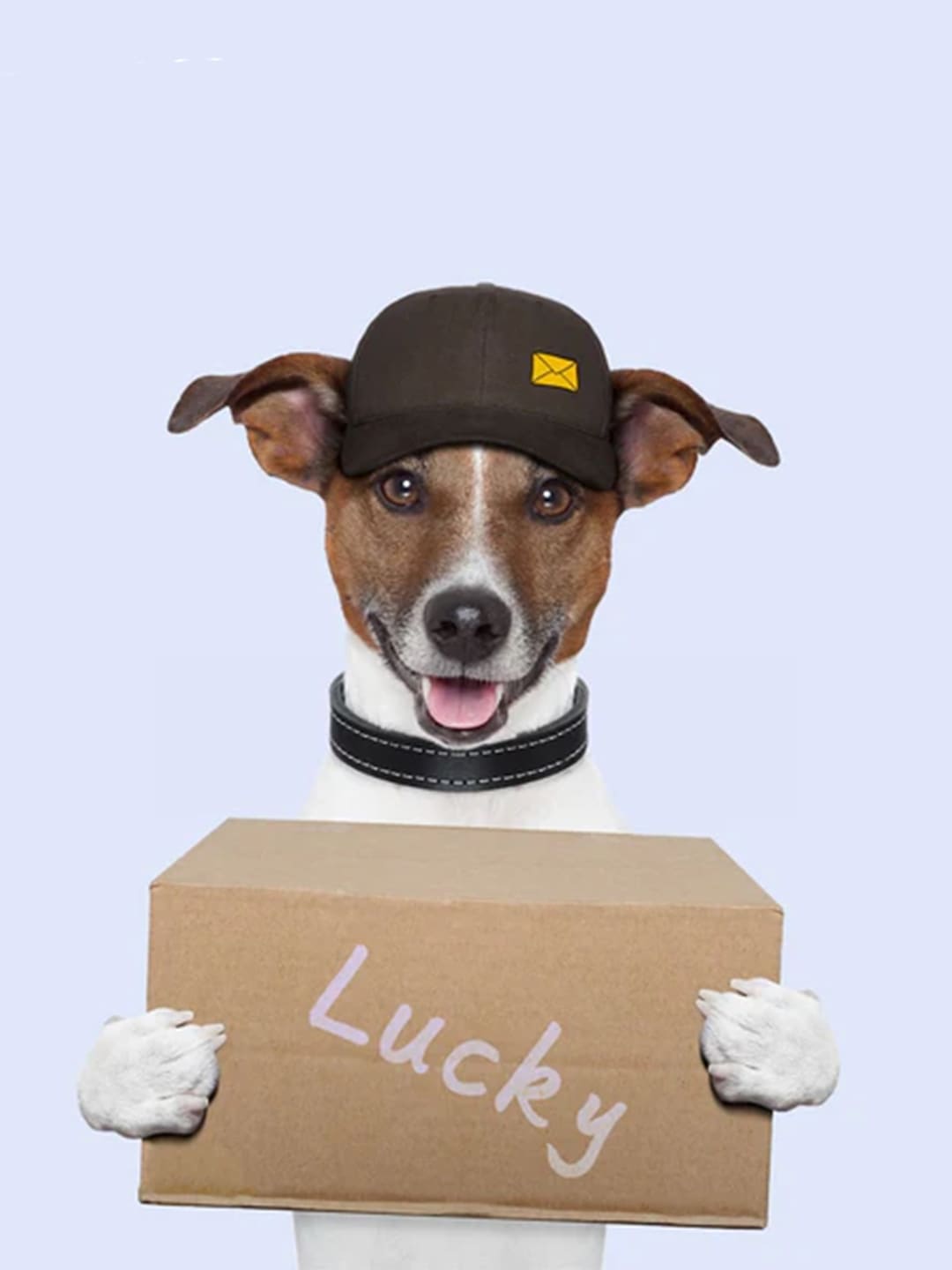 Eternal Love in Glass: Why Every Pet Deserves a Custom Pet Portrait