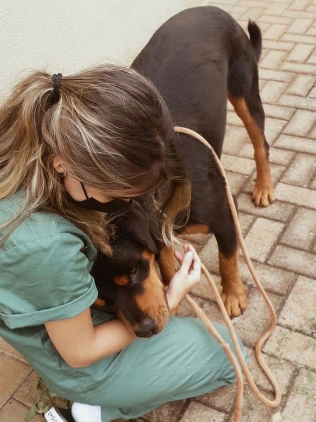 Fostering-a-dog-to-heal-a-grieving-heart Luck