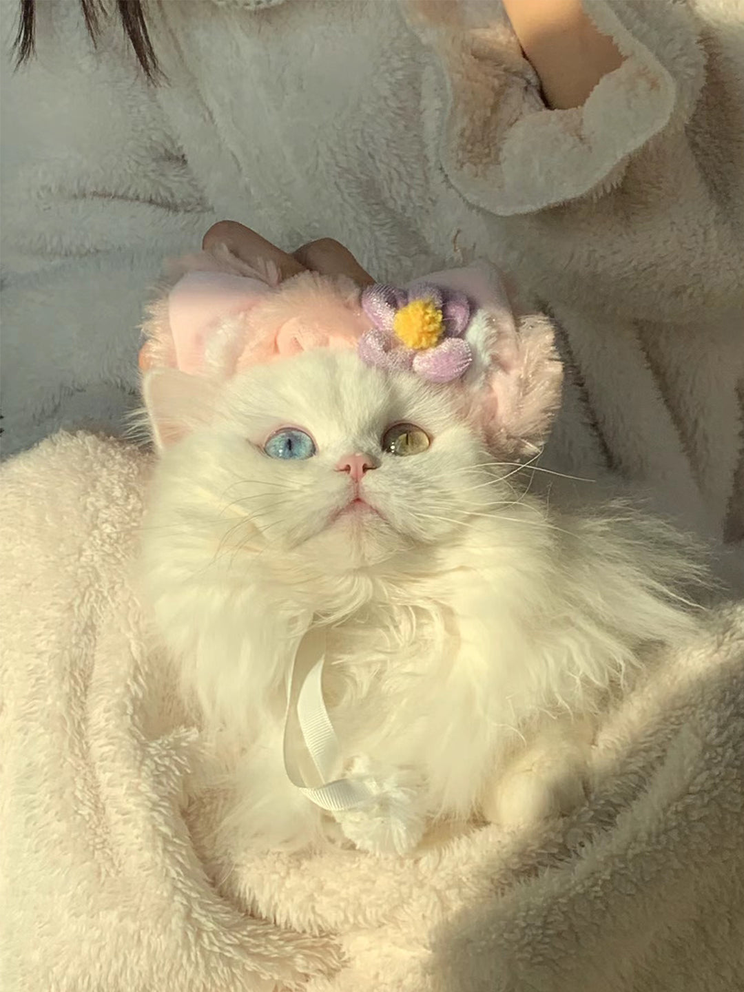 Laki-s-Enchanted-World-From-Mischievous-Antics-to-Life-Lessons Luck