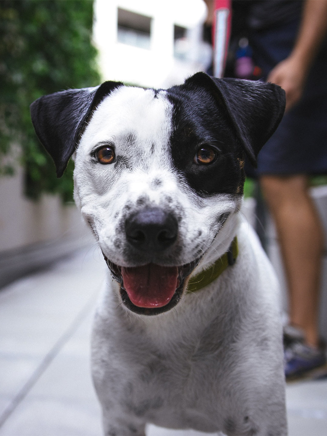 March-2024-Shelter-Donations Luck