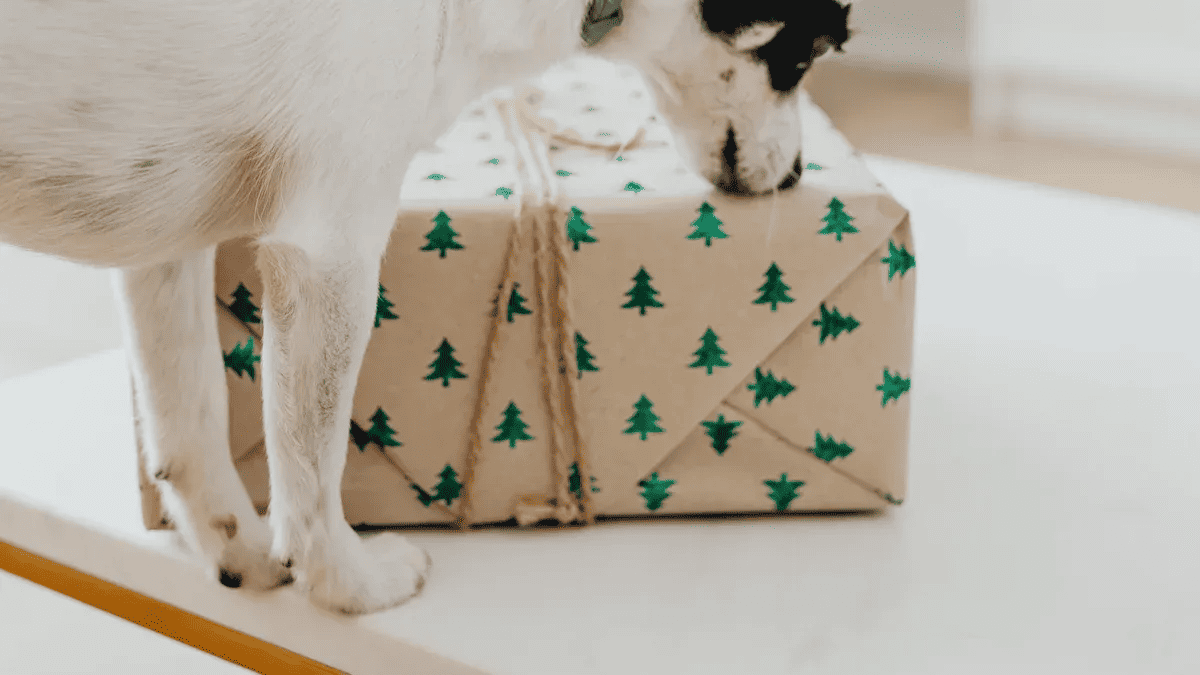 Unforgettable Christmas Moments with Custom Pet Portrait Gifts