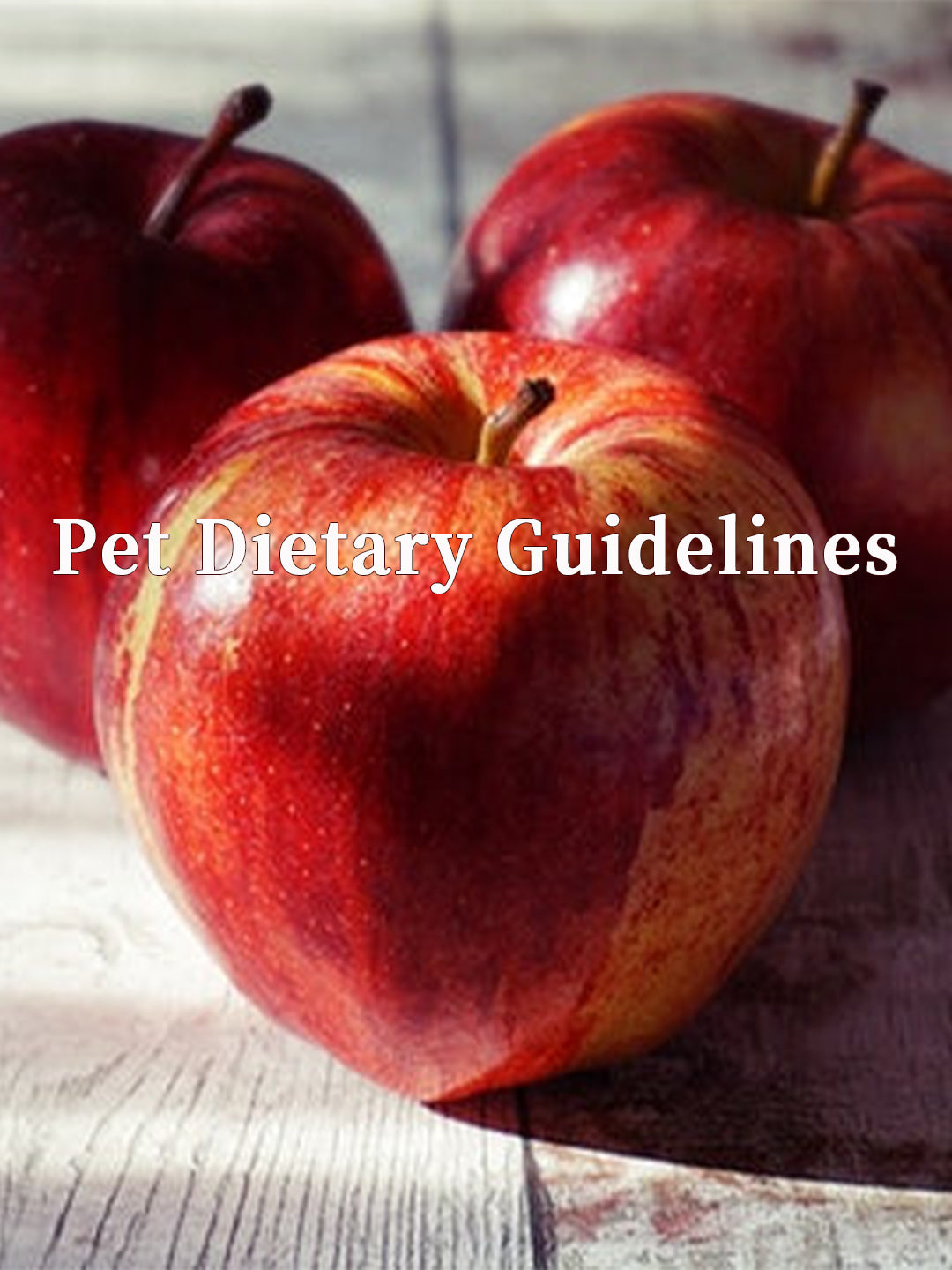 13-Foods-That-You-Can-Share-With-Your-Dog Luck