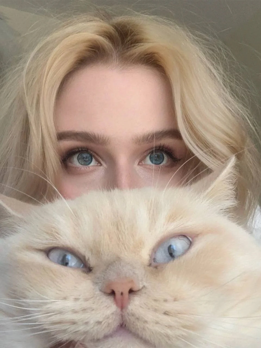 Cleaning-Your-Pet-s-Ears-Be-Careful-It-Might-Make-Things-Worse Luck