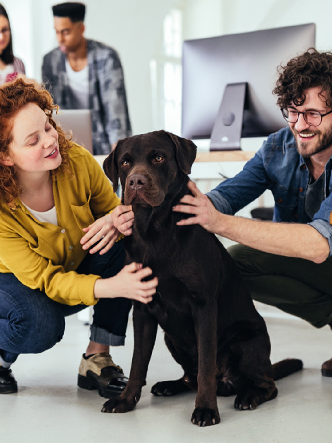 Knowing When to Say Goodbye: Saying Goodbye to Your Best Furry Friend