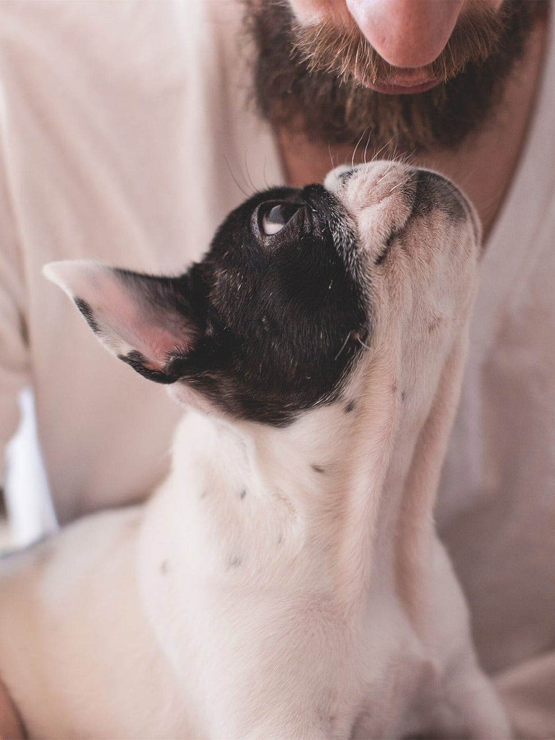 5-Creative-Ways-To-Improve-Your-Dog-Behavior-Skills Luck