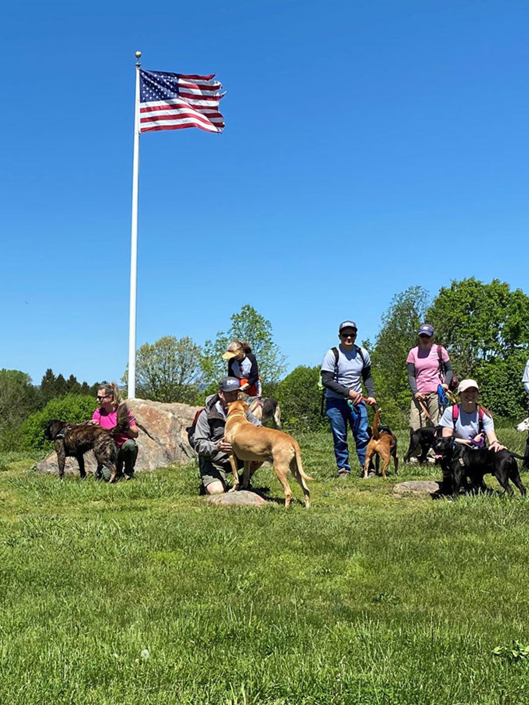 Friends-of-Homeless-Animals-September-2024Shelter-Spotlight Luck