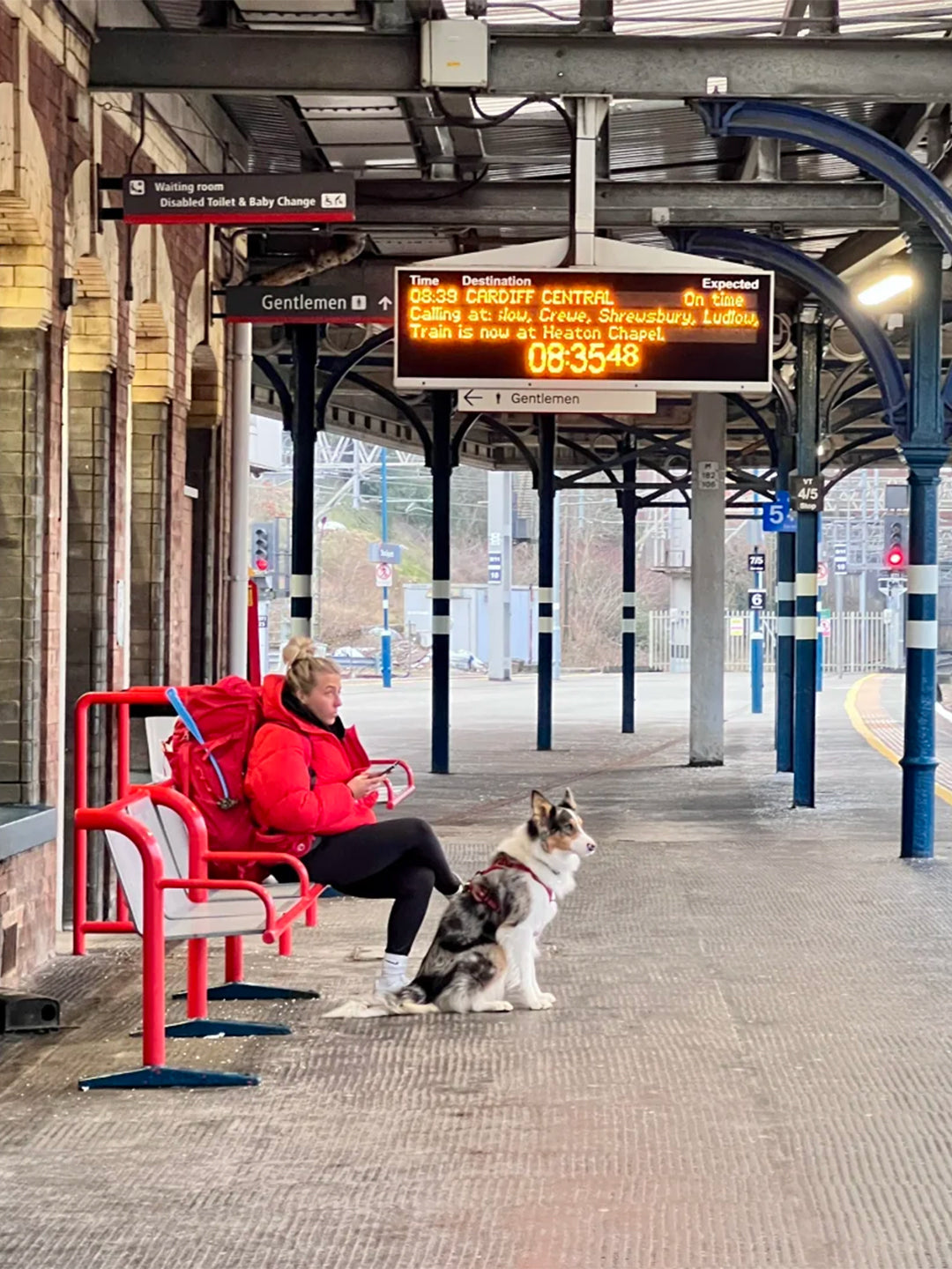 Luckypet-Supports-Displaced-Pets-in-Ukraine-April-2024-Shelter-Pets Luck