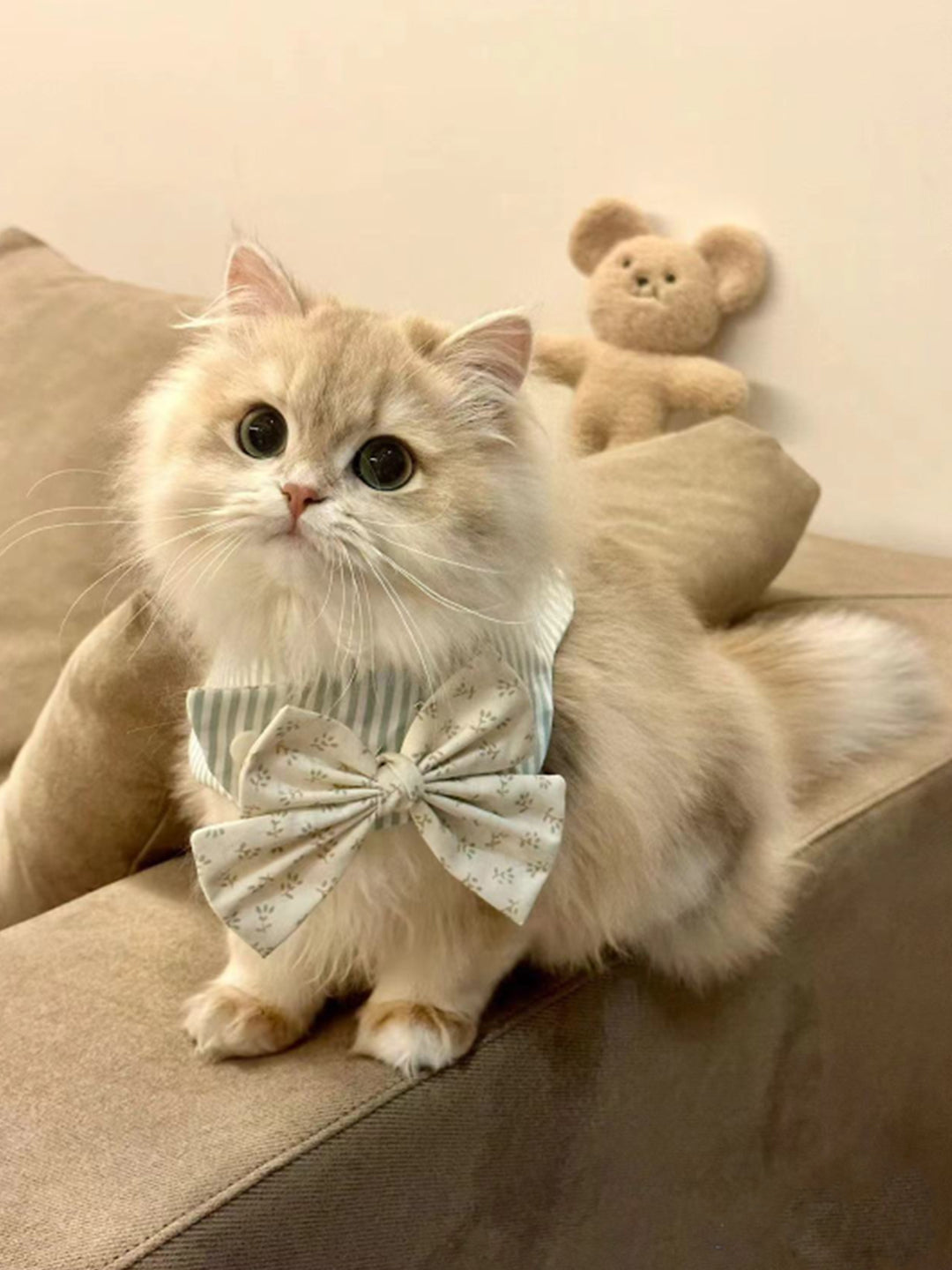 Remembering-Yoyo-The-Key-of-Time-and-a-Farewell-of-the-Heart Luck