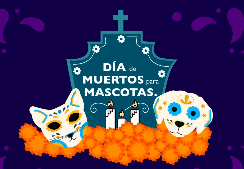 An illustrated poster titled "Day of the Dead for Pets" featuring cat and dog masks, a tombstone, and marigolds.