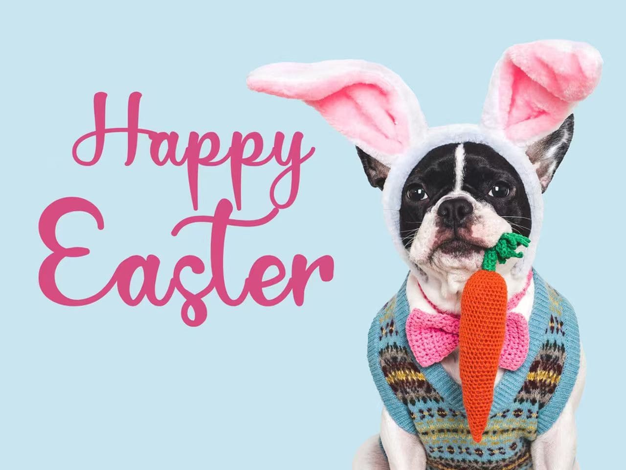 Easter Gifts for Dogs: A Beautiful Way to Remember Pets Who Crossed the Rainbow Bridge