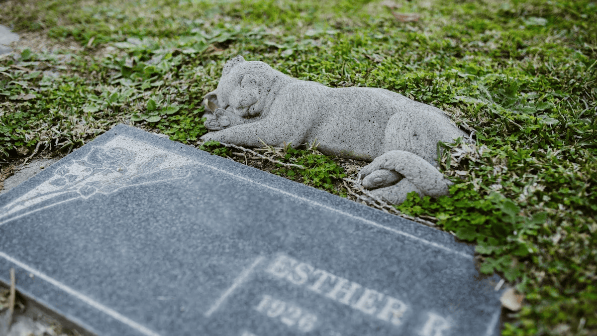 Pet Portrait Choices for Honoring Lost Pets