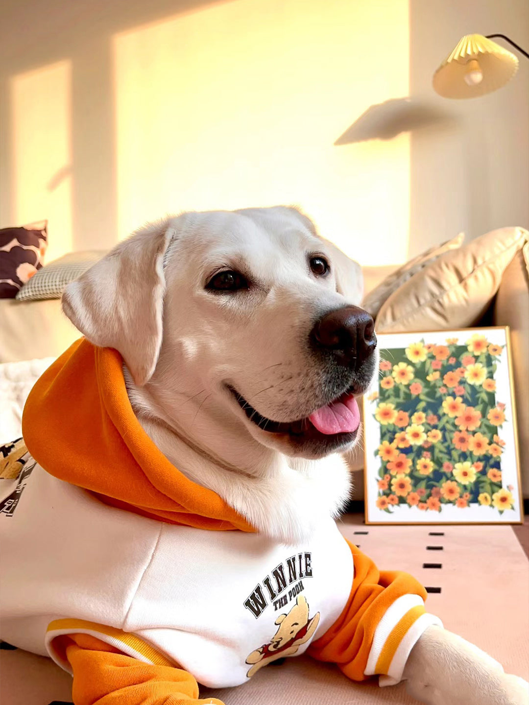 Blue-s-Eternal-Smile-Healing-and-Strength-Through-a-Hand-Painted-Portrait Luck