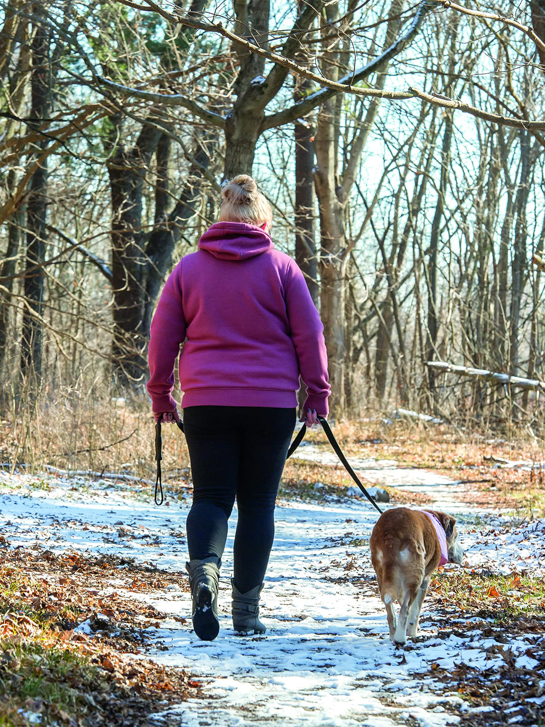 A woman in a purple hoodie and black pants walks a brown dog with a pink collar on a snow-covered forest path. The background shows bare trees and a winter landscape, depicting an outdoor winter walk scene.
