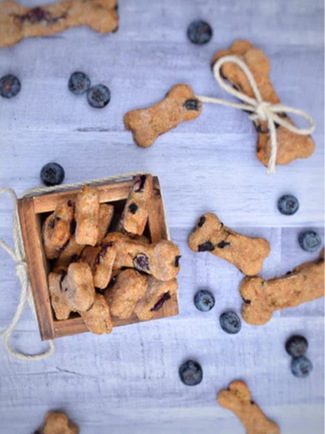 6 Homemade Dog Treats your Dog Will Love